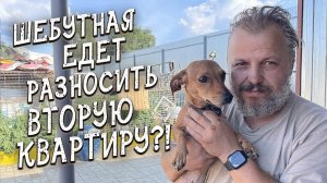 Спасение животных _ Искра вернулась в приют _ И едет в новый дом_!