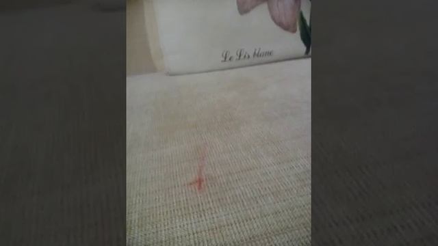 Мои поделки из бисера и жгутогого шпагата (делала в цдод п.Первомайского) 1 ч. смотреть онлайн