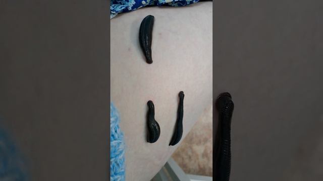 Кемерово. гирутерапия. мои золотые девочки дают мне сил и здоровье молодцы мои куколки без таблето смотреть онлайн