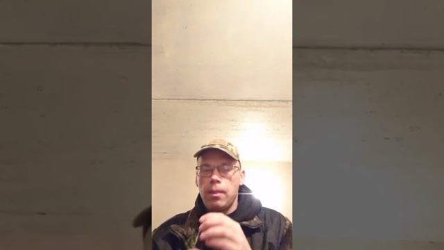 Отличие подачи выдува в поликарбонатные и акриловые манки на белолобого гуся. смотреть онлайн