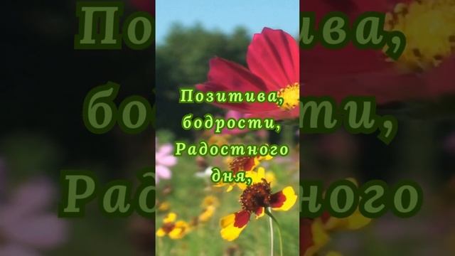 Утра очень доброго,!