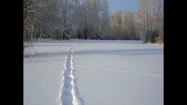 Елочка! моя презентация смотреть онлайн