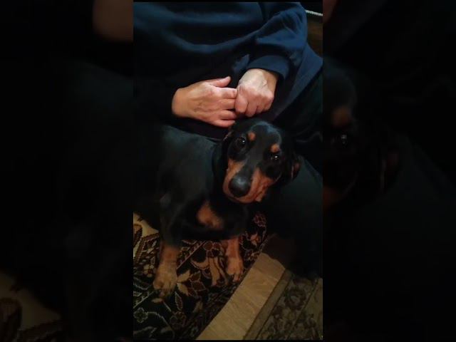 11 декабря 2023 г. смотреть онлайн