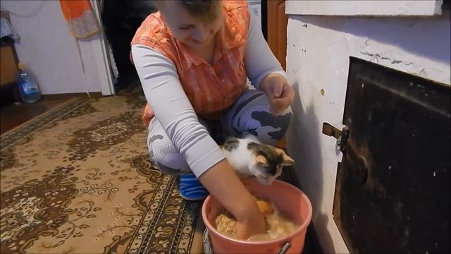 обычное УТРО в ДЕРЕВНЕ смотреть онлайн