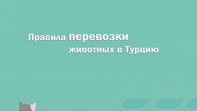 ПЕРЕВОЗКА ЖИВОТНЫХ В ТУРЦИЮ | ВВОЗ ЖИВОТНЫХ В ТУРЦИЮ | ТУРЦИЯ | Turk.Estate