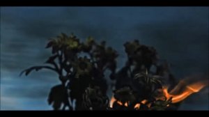 Sheila Alex "А роза упала.." (музыка и исполнение Илья Божко, видео Ólafur Arnalds Partisans)