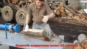 дровокол Горыныч