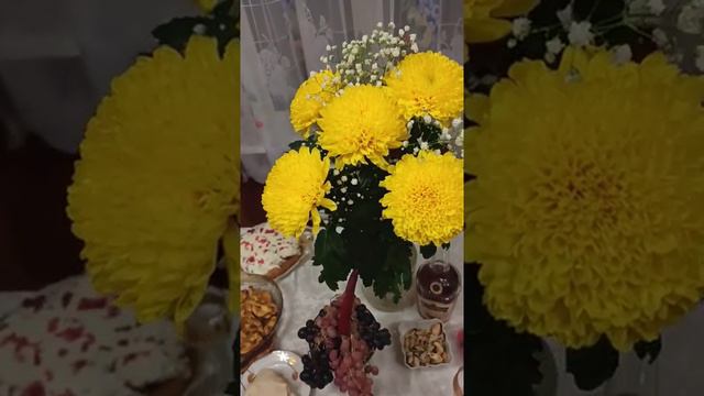 К сожалению день рождения только раз в году🎂🎉🎁 #shorts