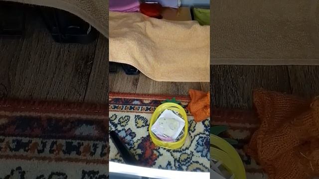 ВЛОГ - собираемся в осенний лагерь !! уточки влог