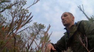 Медведь залез в избу.