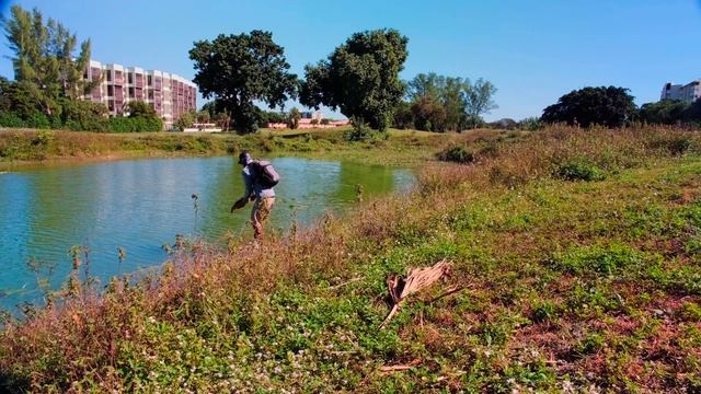 Florida Peacock Bass Fishing / Fuji XT3 / Metabones Speedbooster Ultra / Sigma 18-35mm f1.8 смотреть онлайн