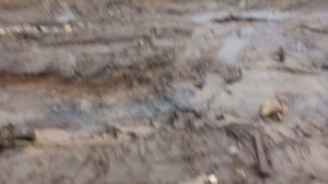 Шевроле каптива