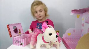 Queens Park играем с собачкой Chi Chi Love и щенком Baby Love