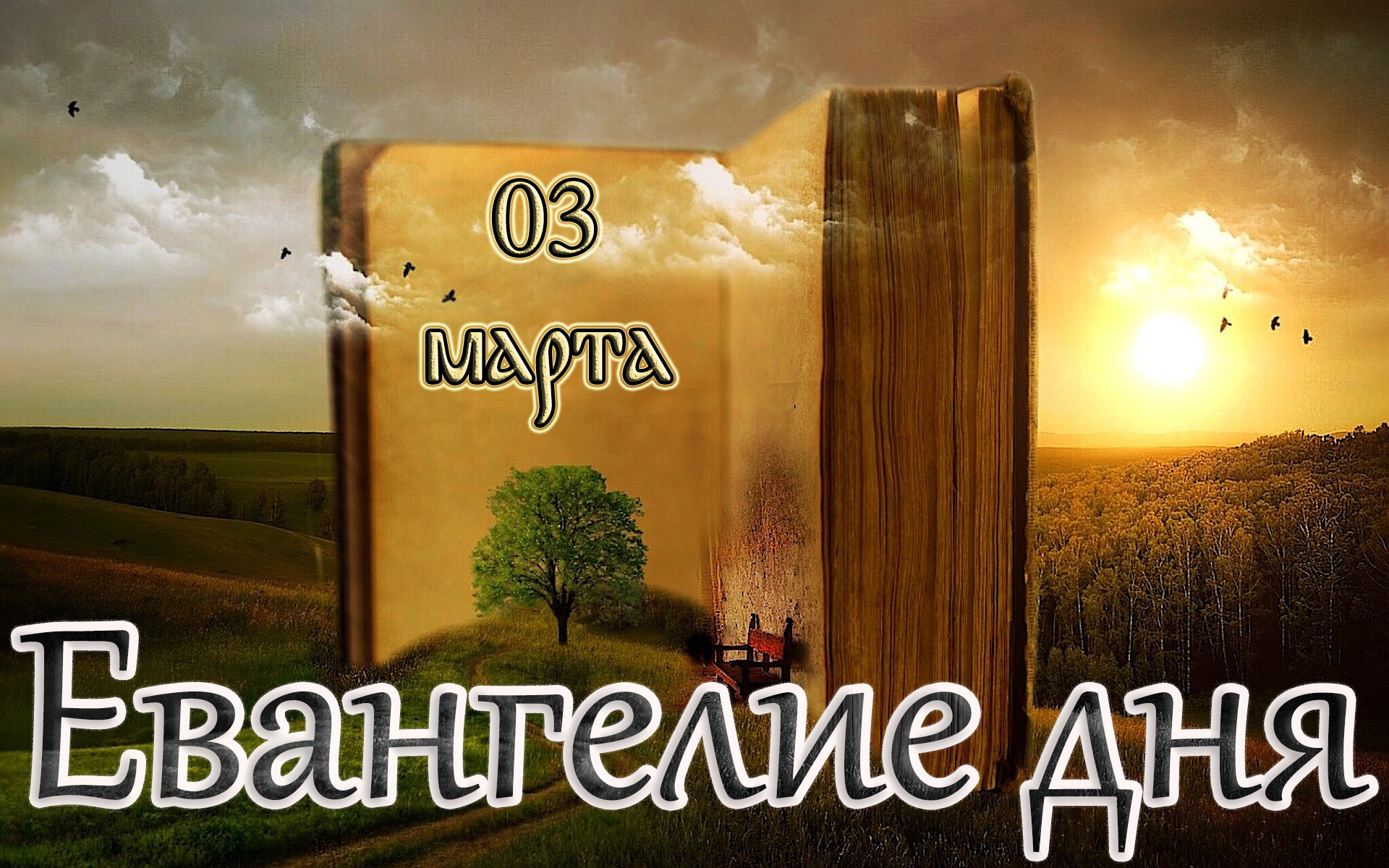 Евангелие и Святые дня. Апостольские чтения. Неделя о блудном сыне. (03.03.24)