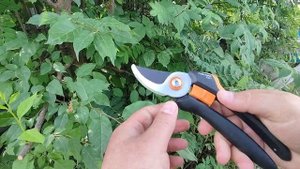 Секатор Фискарс