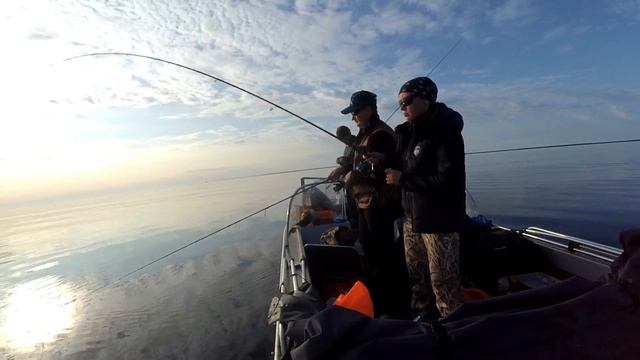 Лена ловит свою первую Зубатку смотреть онлайн