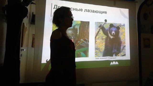 Экология. Типы эволюций. Классификации живых организмов и экологические ниши 1 смотреть онлайн