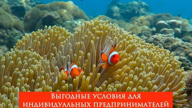 БСБ Банк предлагает выгодные условия для индивидуальных предпринимателей!