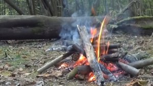 Руна ЭЙВАЗ. Суть, Значение и Понимание.