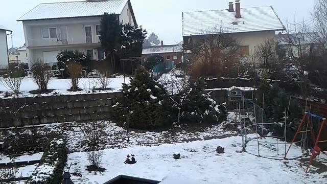 Началось....утро в деревне♡злые,как собаки♡ давайте жить дружно♡ смотреть онлайн