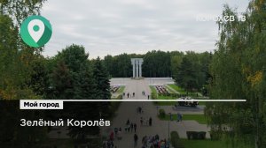 В День города в Королёве посадили более 800 деревьев