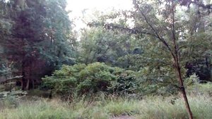 Пансионат Якорная щель.позабыт заброшен.