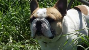 Рыболовный клуб ФИОН Рязанская область.Выезды.