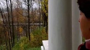Золотые клёны