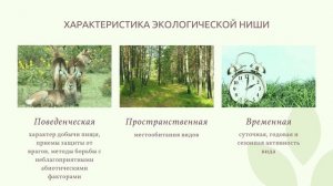 Экологическая ниша