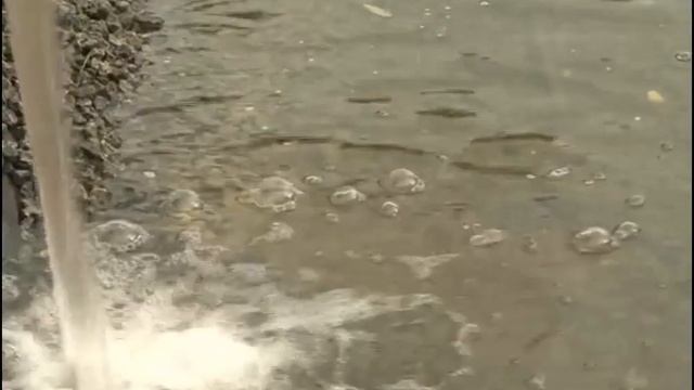 Ресторан дубровка г.Семенов Нижегородская обл.ул.Шевченко 13 смотреть онлайн