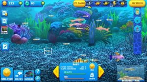 Fish Tycoon 2  Virtual Aquarium BABY FISH YAY!!!!!!!