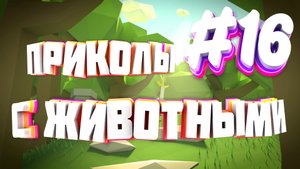 Приколы с животными | Приколы угары | Засмеялся подписался #16
