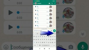 Голосовые сообщения текстом в WhatsApp Как отправить текстовое сообщение голосом Набрать текст голо