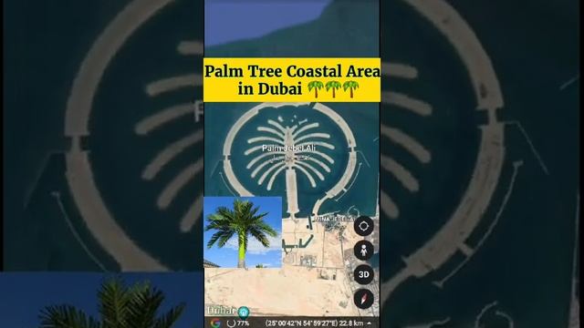 Palm Islands ?? in Dubai ... ??? || Palm Jumeirah, Deira Island and Palm Jebel Ali #shorts