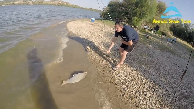 Рыбалка на реке Эбро Испания. Fishing on the River Ebro Spain смотреть онлайн