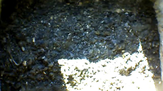 From Internet Camera(Turmfalken[03:1A:A5])2014/06/30,19:04:10_D смотреть онлайн