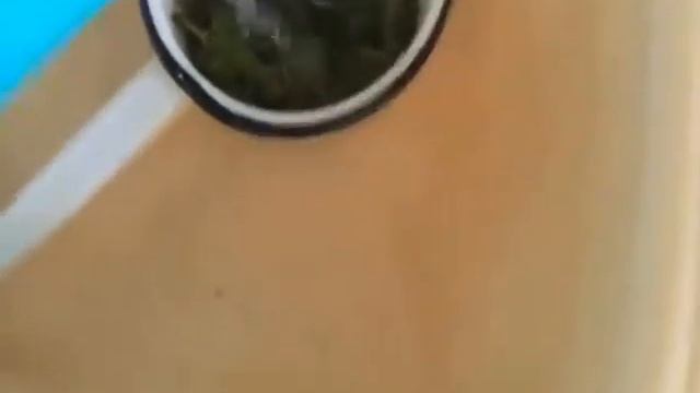 Салат из ранней крапивы. смотреть онлайн