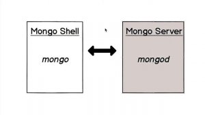 MongoDB Tutorial for Absolute Beginners :  04 MongoDB Shell and MongoDB Server