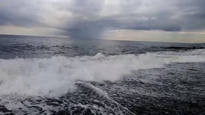 Черное море. Купаемся каждый день. Адлер. (4 ноября 2022)