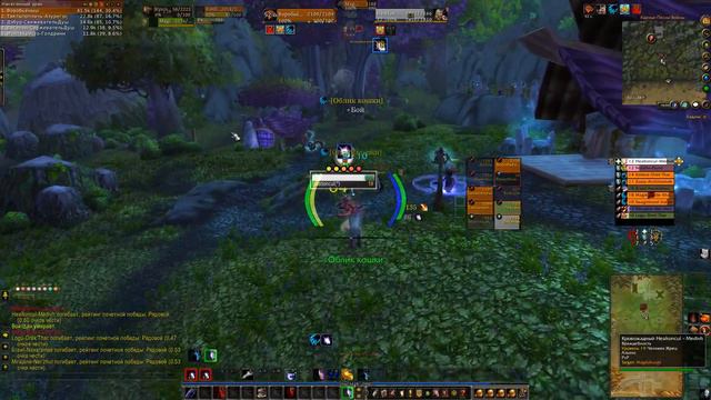 129. World Of Warcraft. Бг 10-19 лвл(сова)