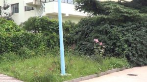 Байдахэ.гостиница Россия. август 2015 год