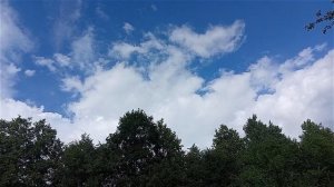 Мое ЛЕТО 2023.  Отдых на даче в деревне Лужки Ленинградской области в июле 2023г.