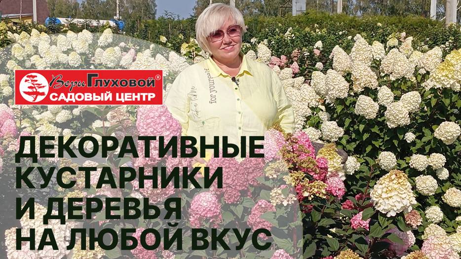 СОВРЕМЕННЫЙ САДОВЫЙ ЦЕНТР: какие кустарники и деревья сегодня в топе у профессионалов и любителей