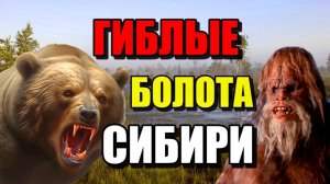 ГИБЛЫЕ БОЛОТА СИБИРИ!! Самое большое болото в мире!