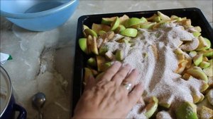 Яблочное сухое варенье