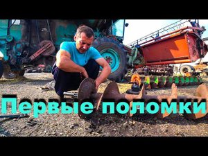 Начало уборочной 2. Уже есть "подбитые"!