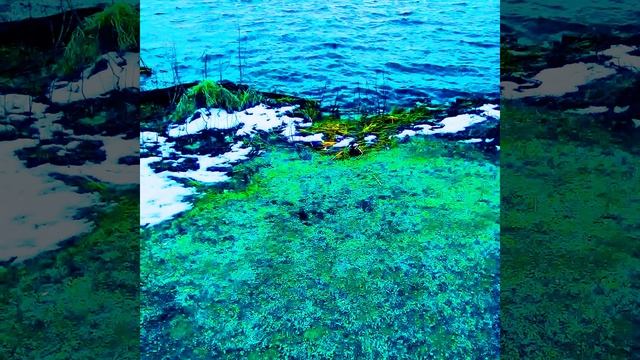 Biking in the Park смотреть онлайн