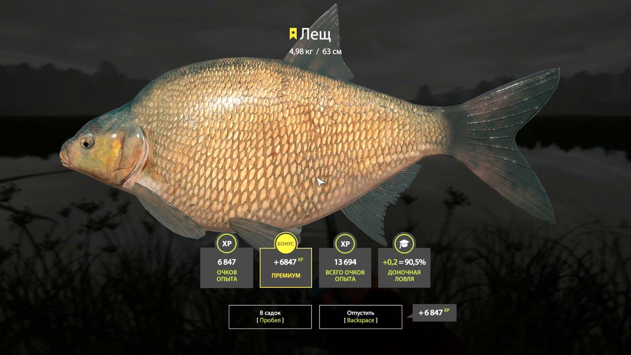 Russian Fishing 4 р. СУРА ТРОФЕЙНЫЙ ЛЕЩ