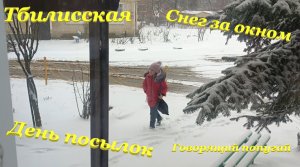 Снег за окном❄ / Говорящий попугай? / День посылок? / Тбилисская