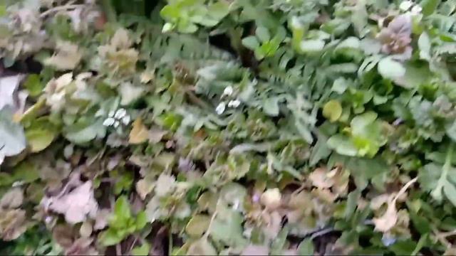 14-MART OB-XAVO DIQAT SHOSHILINCH XABAR TAYYOR TURING смотреть онлайн